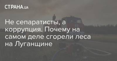 Не сепаратисты, а коррупция. Почему на самом деле сгорели леса на Луганщине