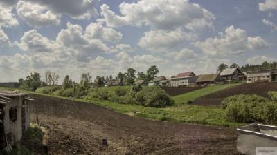 Развитие сельских территорий обойдется бюджету России в 210 млрд рублей