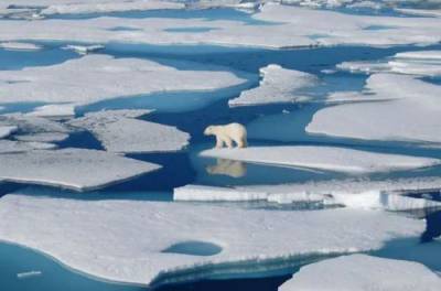 Арктические моря могут загореться: что шокировало ученых РФ