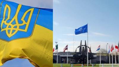 В НАТО намекнули, что Украина не сможет стать ее членом