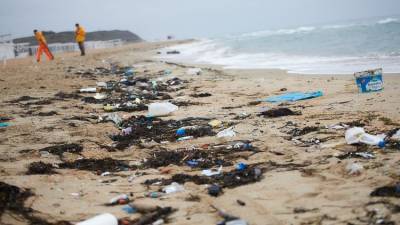 Активисты Greenpeace собрали с берегов Черного моря 108 кг пластика