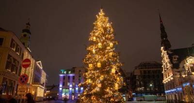 Традиция нарушена: мэр Риги не участвовал в выборе рождественских елей