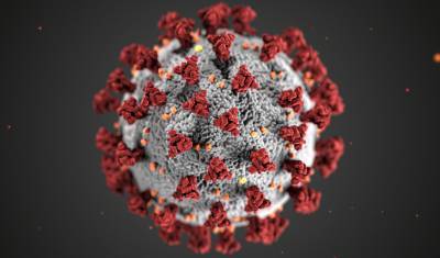 В США от коронавируса COVID-19 умерли уже более 250 000 человек