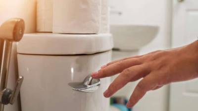 В туалет выгоднее ходить в Кельне: сколько стоит один смыв унитаза в Германии