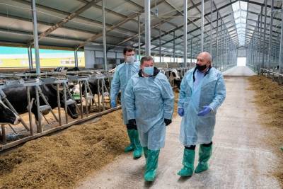 Новые помещения на 400 голов крупнорогатого скота построят в Майнском районе