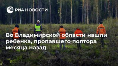 Во Владимирской области нашли ребенка, пропавшего полтора месяца назад