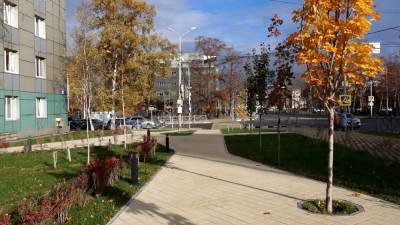 В Южно-Сахалинске украсили пешеходную зону у перекрестка Сахалинской и Мира