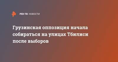 Грузинская оппозиция начала собираться на улицах Тбилиси после выборов