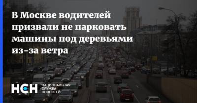 В Москве водителей призвали не парковать машины под деревьями из-за ветра