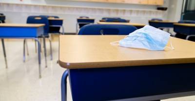 В понедельник правительство обсудит перевод 5-6 классов на удаленную учебу