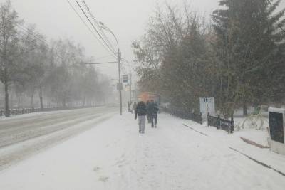 Снег, тучи и небольшое потепление: какая погода будет в Новосибирске 20 ноября