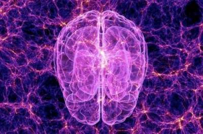 Ученые обнаружили сходство между Вселенной и головным мозгом