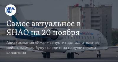Самое актуальное в ЯНАО на 20 ноября. Авиакомпания «Ямал» запустит дополнительные рейсы, камеры будут следить за нарушителями карантина