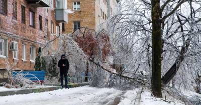 Ледяной коллапс: 150 тысяч жителей Приморья остаются без света и воды