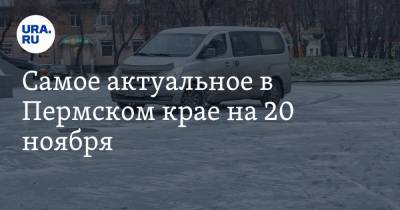 Самое актуальное в Пермском крае на 20 ноября. На регион надвигается ледяной дождь, родители просят отменить онлайн-обучение
