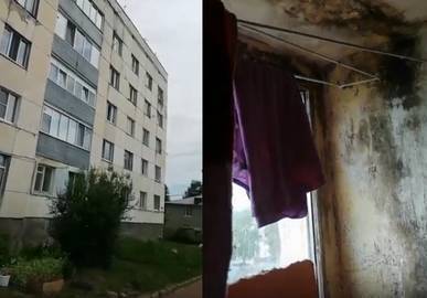 «На стенах образовался грибок»: Многодетная семья из Башкирии пытается выжить в невыносимых условиях
