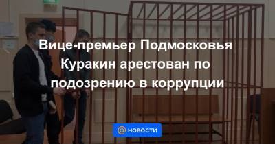 Вице-премьер Подмосковья Куракин арестован по подозрению в коррупции