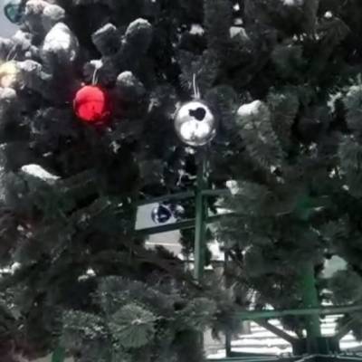 В Прокопьевске вандалы повредили главную новогоднюю ель города