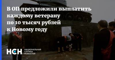 В ОП предложили выплатить каждому ветерану по 10 тысяч рублей к Новому году