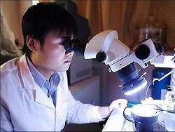Новая раса. Учёные в КНР создают гибрид человека и обезьяны