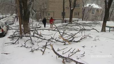 Владивосток "разгребает" последствия циклона
