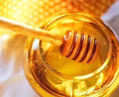 Раскрываем секреты, чем полезен мед
