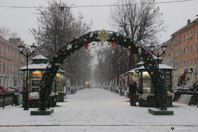 Синоптики рассказали, когда в Тверской области ждать снега