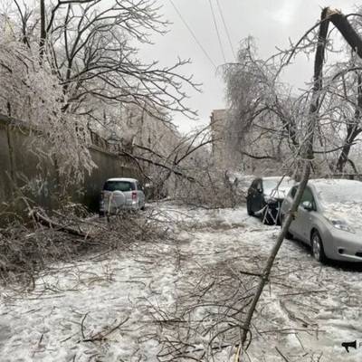 Власти Приморья из-за циклона ввели в регионе режим ЧС