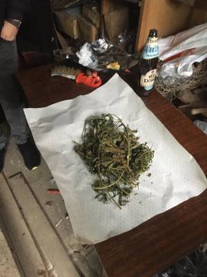 Украинский военный выращивал дома марихуану — прокуратура Украины
