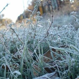 Ноябрьские заморозки и холодная зима: прогноз погоды до конца года
