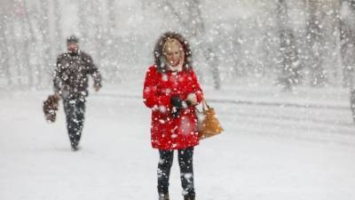 Синоптики прогнозируют ветреную и снежную погоду на Сахалине