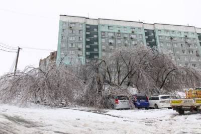 Власти Приморья ввели региональный режим ЧС из-за снежного циклона