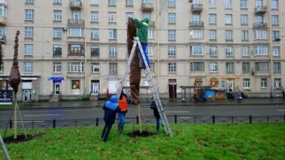 В Петербурге тепло "одевают" к зиме молодые деревца и цветники