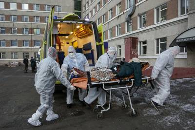 В России за сутки заразились коронавирусом больше 24 тысяч человек
