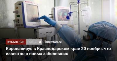Коронавирус в Краснодарском крае 20 ноября: что известно о новых заболевших