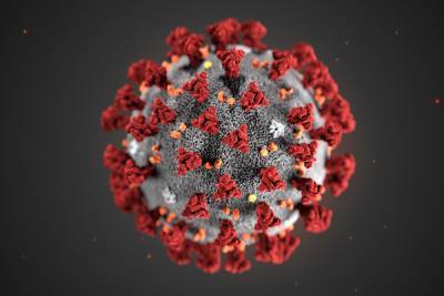 В Ленобласти выявили 198 новых зараженных коронавирусом 20 ноября