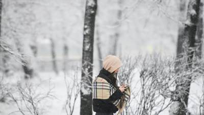 Синоптики предупредили о снеге в столичном регионе