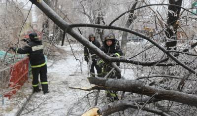 Ледяной дождь в Приморье заставил власти ввести режим ЧС