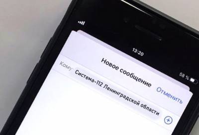 Более 19 тысяч жителей Ленобласти воспользовались Системой-112 через СМС