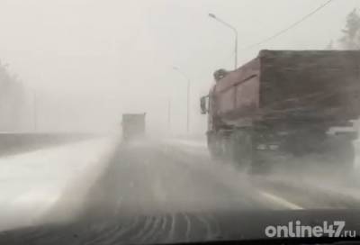 Автомобилистов предупреждают о сильном снегопаде и ветре в Ленобласти