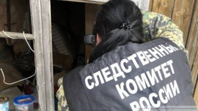 Опубликованы кадры спасения первоклассника во Владимирской области