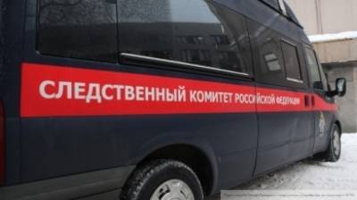 Кадры задержания похитителя ребенка под Владимиром опубликовали в Сети
