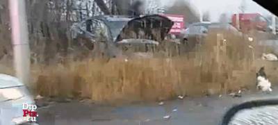 "Легковушка" улетела в кювет после столкновения с пикапом на шоссе в Петрозаводске (ФОТО)