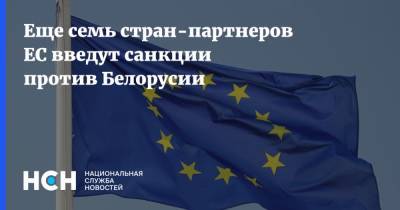 Еще семь стран-партнеров ЕС введут санкции против Белорусии