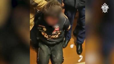 Видео задержания похитителя ребенка во Владимирской области