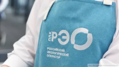 Буцаева снова назначили главой Российского экологического оператора