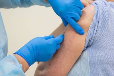 «Вектор» заявил, что у 100% испытателей их вакцины появились антитела