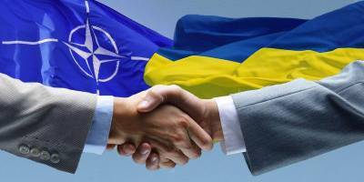 Украина должна терпеливо делать свое домашнее задание на пути к членству в НАТО, - посол Литвы Сарапинас