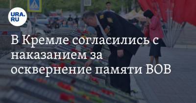 В Кремле согласились с наказанием за осквернение памяти ВОВ