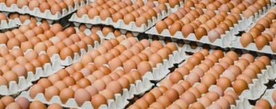 Эксперты прогнозируют подорожание яиц в Украине